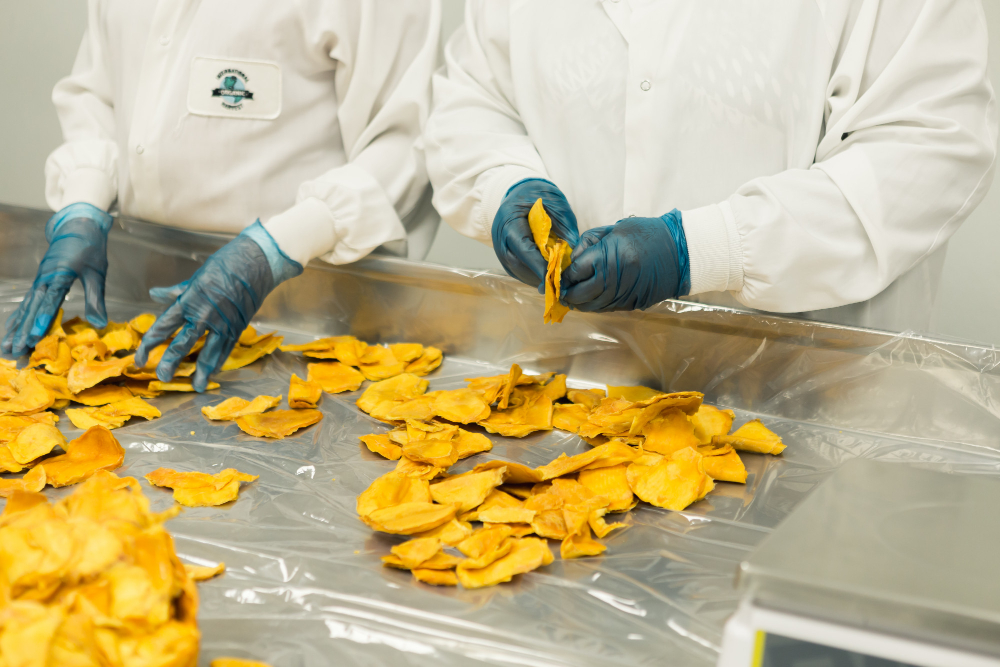 Food Processing