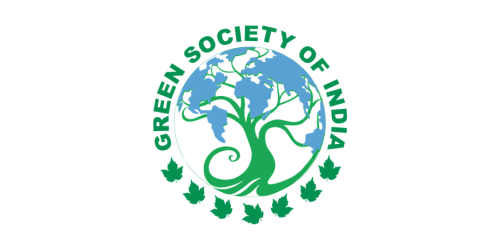 gsi logo